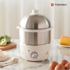 디온리full스텐전기찜기