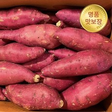 메리네마켓 마약고구마] 꿀맛나는당근고구마 풍원미 고구마 호박고구마, 황금빛 한입 2kg, 1개