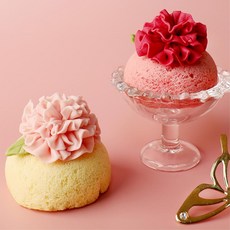 5인용 쌀빵 카네이션마카롱 만들기키트 요리수업 DIY키트 비조리 기념일