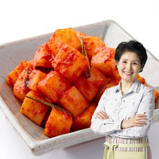 마음심은 이종임 깍두기 5kg, 단일상품