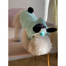 강아지미키마우스패딩