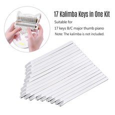 링팅플레이트칼림바