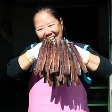 추천10 발과메기