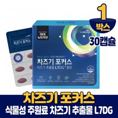 차즈기효능