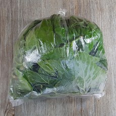 보은누에농장 뽕잎300g