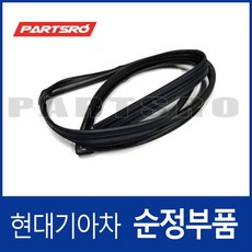 리어도어 윈도우 글래스런(잔넬고무) 운전석 뒷자리 (835313K000) 쏘나타NF 현대모비스부품몰, 1개