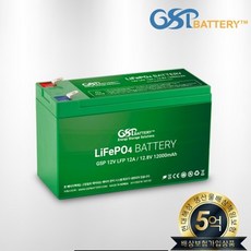 파파야나인아우디