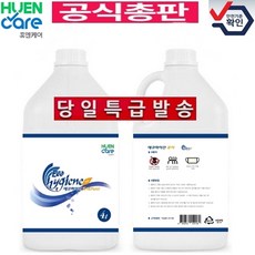 [휴엔케어 공식총판] 플루건 에코하이진퓨어 4리터 2개, 1세트, 8L