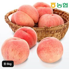 남상주농협 데일리 햇 백도 복숭아 3kgX2박스(총 6kg)