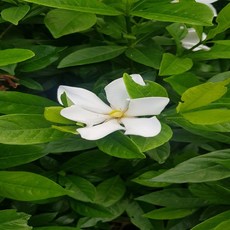 a53d3f1ffdb56f878bd9f0df5a0c5aae48737bd54b63eba0685940ed6b9c.jpg