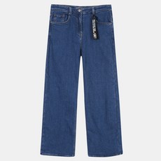 더데이걸즈청바지