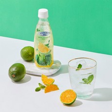 청귤모히또