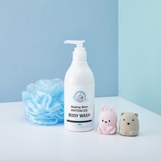 힐링맘 피톤치드 바디워시 300ml, 단품
