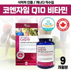 쁘띠앤코큐텐