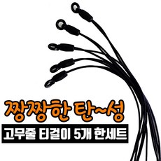 추천5 캐디나라