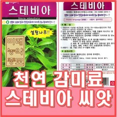스테비아키우기