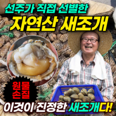 노랑새조개특품