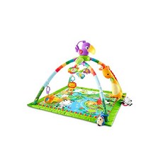 Fisher-Price Rainforest Music & Lights Deluxe Gym, 단일상품