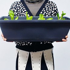 그루팜 직사각 플라스틱 텃밭 화분 대형 + 받침 포함, 청록색(대)