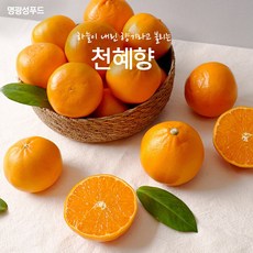 명광성푸드 하늘이 내린 향기라고 불리는 천혜향, 1.5kg, 선택안함