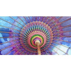 풀카본우산