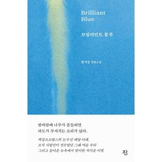 브릴리언트 블루:함지성 장편소설