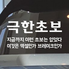 모노먼트 초보운전 스티커 - 극한초보, L_흰색(대형), 1개