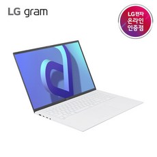 [LG전자] LG gram 17ZD90Q-EX76K [1TB(NVMe/PCle 4.0) 교체]