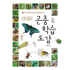 곤충 학습 도감:우리 주변에서 만나는 곤충의 모든 것, 진선아이