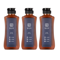 달아라 밤꿀, 500g, 3개