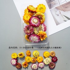 16efbadf5584db3ae904677160812289a39e58b53aeed3904e8555d30c81.jpg