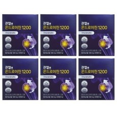 관절엔 콘드로이친1200 연골 관절건강 60정 x 6박스, 6개, 상세페이지 참조