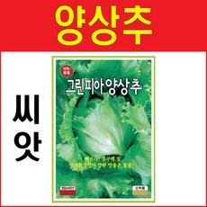 중국산양상추
