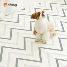 티엔즈팡