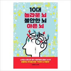 10대 놀라운 뇌 불안한 뇌 아픈 뇌 - 김붕년, 단품