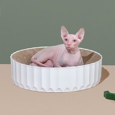 고양이전용케잌