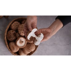 [맛있는상상] 생표고버섯 산지직송 표고버섯 300g 500g 700g 1kg, 1박스, 생표고버섯 500g