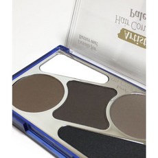 오디드 아티스트 헤어 컨실러 팔레트 헤어라인커버 탈모커버 12.9g 기획세트 (+브러쉬 헤어핀 추가구성), 1개, [단품] 팔레트 12.9g