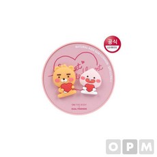 라이언선쿠션
