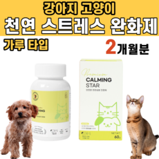 강아지치매약