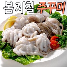 [봄날엔] 주꾸미(쭈꾸미) 10마리, 단품