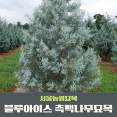 c6b220bf733b5dbdba4b85d29b00ea23c2949d779671a678f1254a8821ed.png