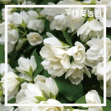 6cb187b59b89a11bd5cbf80b7bec9c186996040f1b4c04278cce267e3b00.jpg
