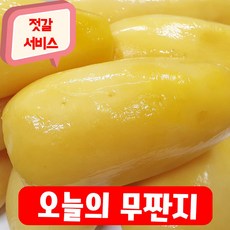 건영푸드 무짠지 국내산 2kg 오독오독 칼칼한 밥도둑 짠지무침 맛 으로 사랑 받는 식 자재, 1봉