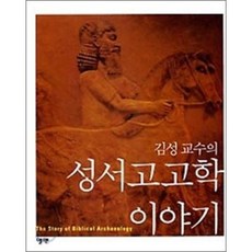 [엘맨/김성] 김성교수의 성서고고학 이야기 - 책 도서