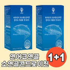 하루먼저 프로테오글리칸 맥스 600mg 연어코연골 소연골 콘드로이친 보스웰리아 관절영양제 연골영양제 프리테오글리칸 프로태오글리칸, 2개, 60정