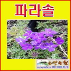 bd37aa1ac27389221fb04662b8b92db57a859ded7918af6af2811ab4b444.png