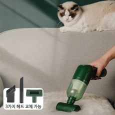 Garrl 무선 충전 청소기 털제거 전동 털흡모기 애견가용 털청소기 애견용품 usb충전식 3가지 헤드 교체가능, 그린