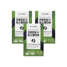 프롬바이오 관절연골엔 보스웰리아 850mg x 30정