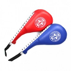 비전발차기쌍미트